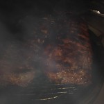 BIG GREEN EGG RIBS